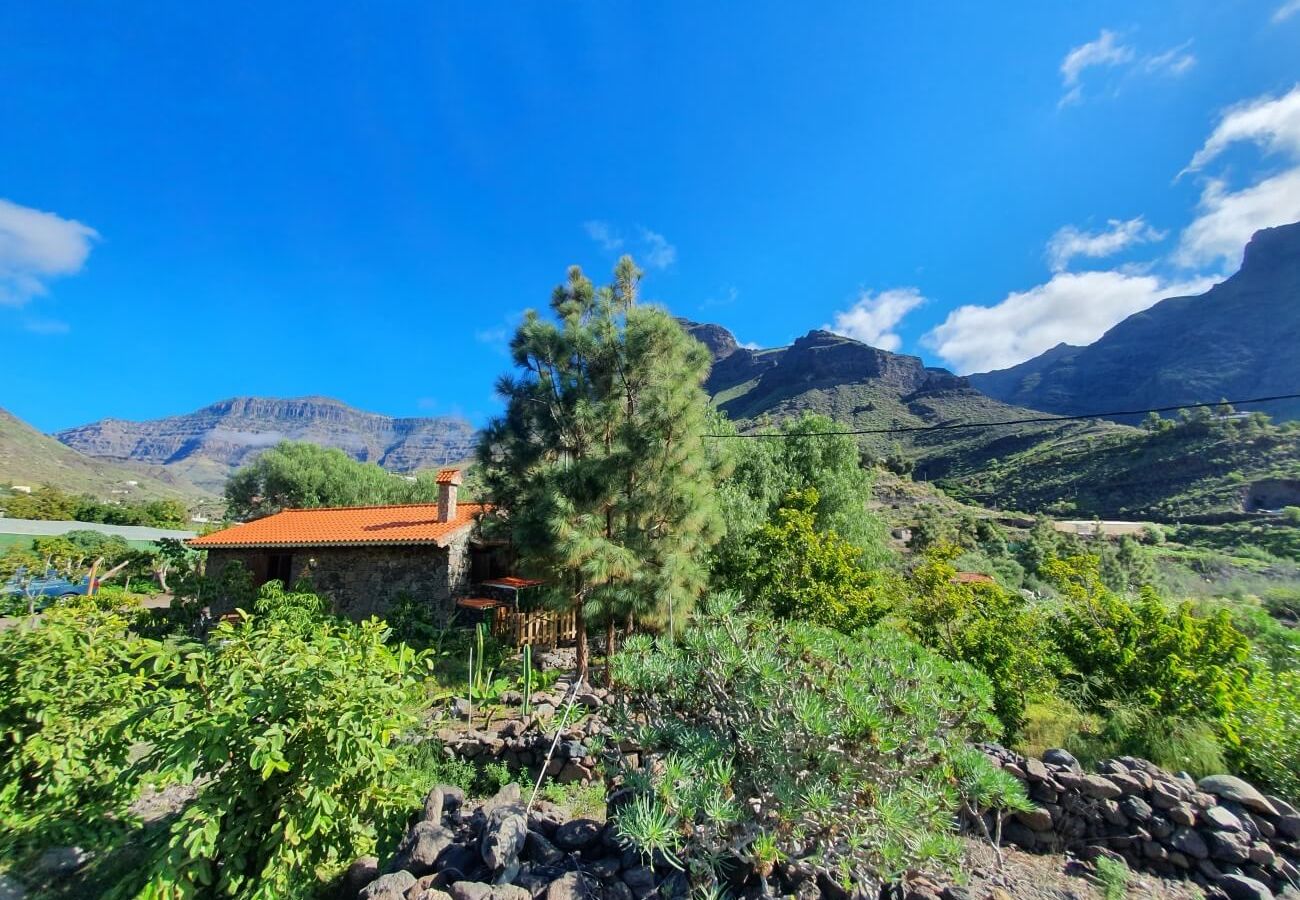 Gîte Rural à San Nicolas de Tolentino - Casa rural con entorno paradisiaco en Tasarte