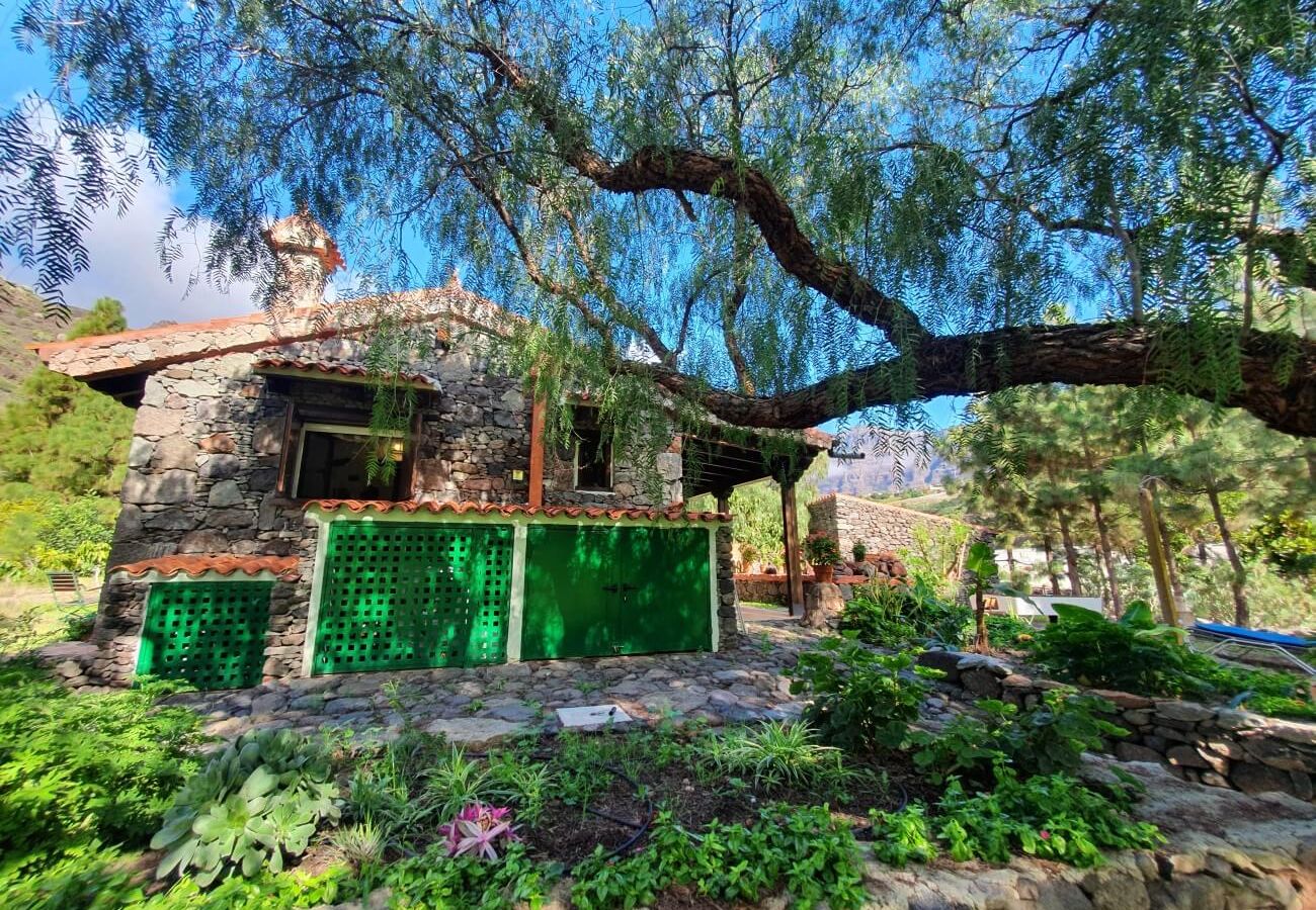 Gîte Rural à San Nicolas de Tolentino - Casa rural con entorno paradisiaco en Tasarte