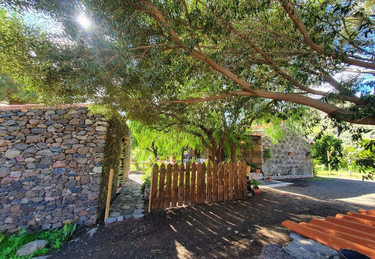 Gîte Rural à San Nicolas de Tolentino - Casa rural con entorno paradisiaco en Tasarte