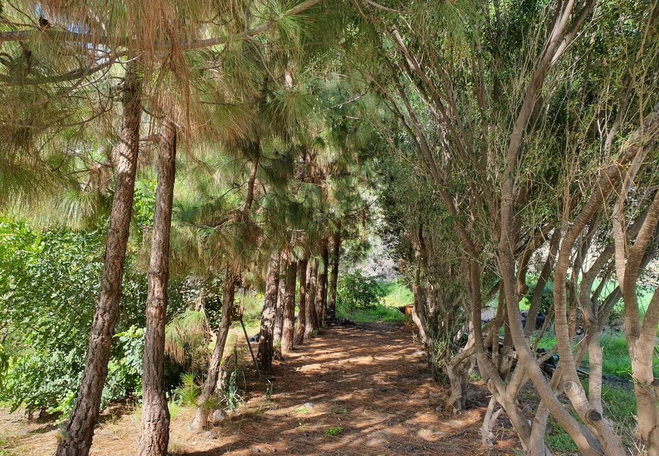 Gîte Rural à San Nicolas de Tolentino - Casa rural con entorno paradisiaco en Tasarte