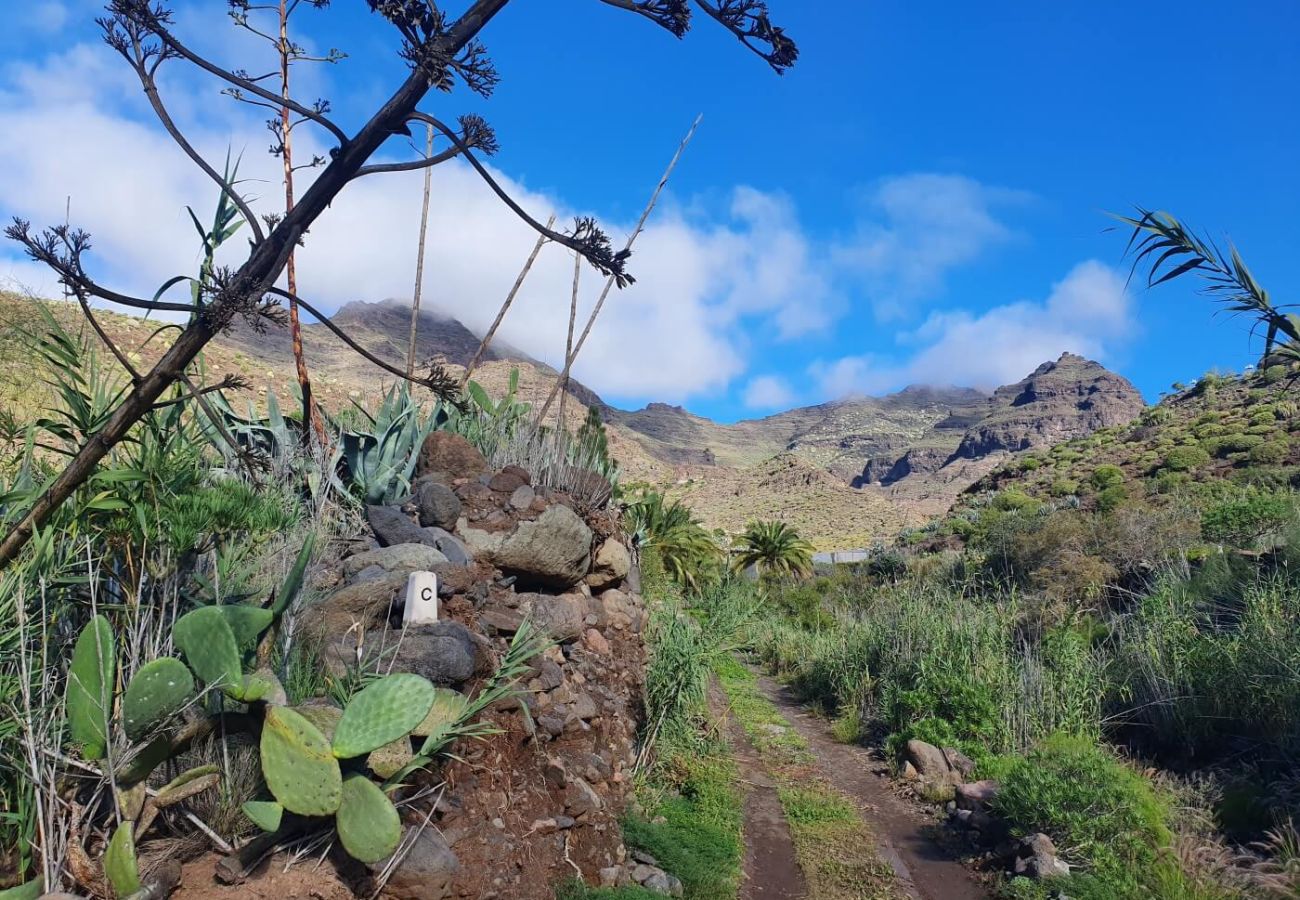 Gîte Rural à San Nicolas de Tolentino - Casa rural con entorno paradisiaco en Tasarte